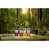 Sanpellegrino Zero Grams Added Sugar Italian Sparkling Drinks Blood Orange,