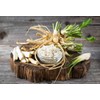 Rocket Radish – Premium Horseradish Condiment, Freshly Crushed & Boldly