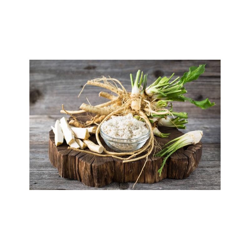 Rocket Radish – Premium Horseradish Condiment, Freshly Crushed & Boldly