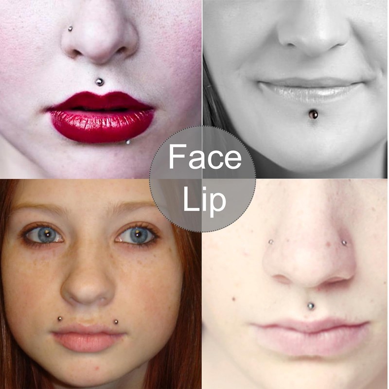 Hebterrka 495 Piece Fake Piercing Set, Fake Face Piercing, Fake