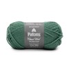 Patons Classic Wool Rich Grass Yarn - 5 Pack of