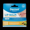 Dermal Therapy Buy Dermal Therapy Lip Balm Paw Paw 10g Online | Chempro Chemists