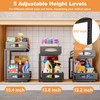 Under Sink Organizer, 2 Tier Under Sink Organizers and Storage,