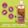 Shampoo Cacahuananche Y Semilla De Uva Cuarzo 550 ml