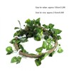 Reptile Climbing Branch Flexible Jungle 3.28ft Rattan 1Pc Vine(3.28ft Rattan+Scindapsus