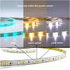 LEDZEIT -Smart Series 5 m LED Strip, 24 V RGBCCT