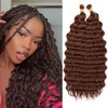 Eerya Long Curly Braiding Hair 20 Inch 2 Packs Deep