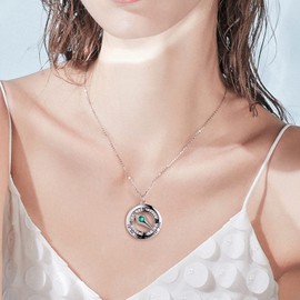 FANCIME Compass Necklaces for Women 925 Sterling Silver Compass Jewelry for Wife Girlfriend Emerald Pendant May Birthstone Green Gemstone Christmas Anniversary Birthday Gifts for Her