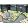 Posh Living 63454 Pot Cover Iron Planter Square