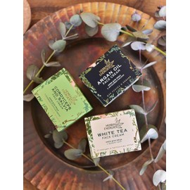 TIANDE Gesichtscreme mit Cordyceps und Salbei, TianDe 17103, intensive Pflege gegen vorzeitige Hautalterung, Zuverlässiger Schutz der Haut vor UV-Strahlung mit Lichtschutzfaktor 10