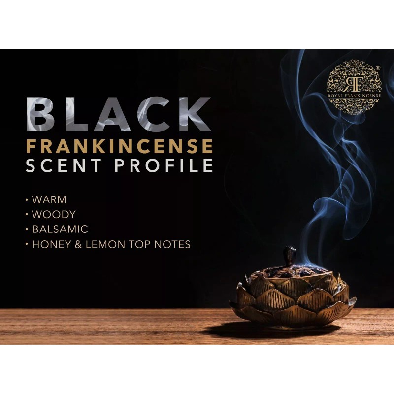 Royal Frankincense Organic Black Hojari Frankincense Oman (Bos. Sacra) (3