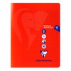 Clairefontaine 303161C - Pack of 5 Mimesys Notebooks 17 x