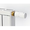 EVENES Adaptor Brass for Danfoss Valves RA Brass