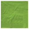 Creative Converting 6631123B 5" Lime Green 2-Ply Luncheon Napkins 50