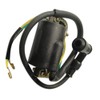 30530-102-780 Ignition Coil with Spark Plug Cap Fit for 1966-1979