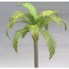 Washi Diorama Accessories Series Coco Palm Leaves
