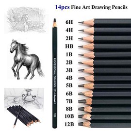 Heshengping Sketch Set Sketching Pencils Set Graphite Charcoal Pencils Sticks Drawing Graphite Set in Pencil Case Drawing for Beginners Artists Students Children
