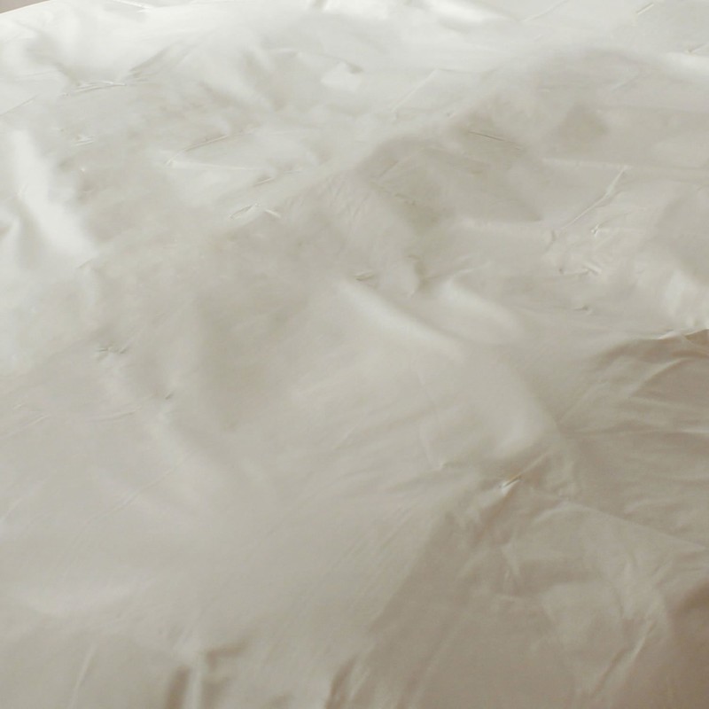 High Density Dust Mite Cover Palette Flat Sheet, Queen and