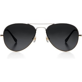 ISHEEP Classic Gold HD Nylon Sunglasses for Men Women Vintage Retro Style SIS-21-GD