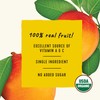 Golden Farms Mango Pouches, Single Ingredient Healthy Snacks (Pack of