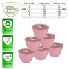 Just Pudding Basins Pastel Colours Pink 1 Pint Basin and