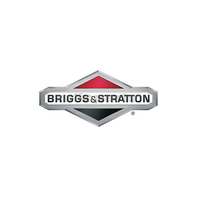 Filter for B & S (5x 272477S)