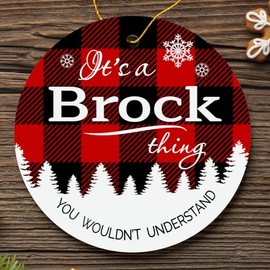 Christmas Tree Ornament 2024 with City Brock Ornament - It's a Brock Thing You Wouldn't Understand - Plastic Round Decoration Ornament 3" Keepsake Christmas Tree Decor Hometown