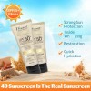 Protector Solar Base Color Natural Protección Spf50 40g