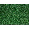OUYIDA 7X5FT Green Leaves Nature Birthday Party CP Pictorial Cloth