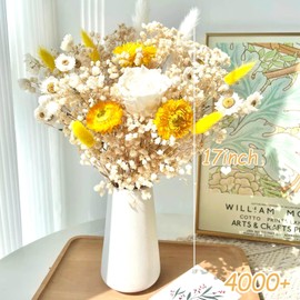 4000+ Dried Babys Breath Flowers Bulk - 17" Ivory White Natural Dried Flower Bouquet Vase Filler, Real Gypsophila Branches for Wedding, Crafts, Resin, Candle Making, Table Centerpiece, Home Decor