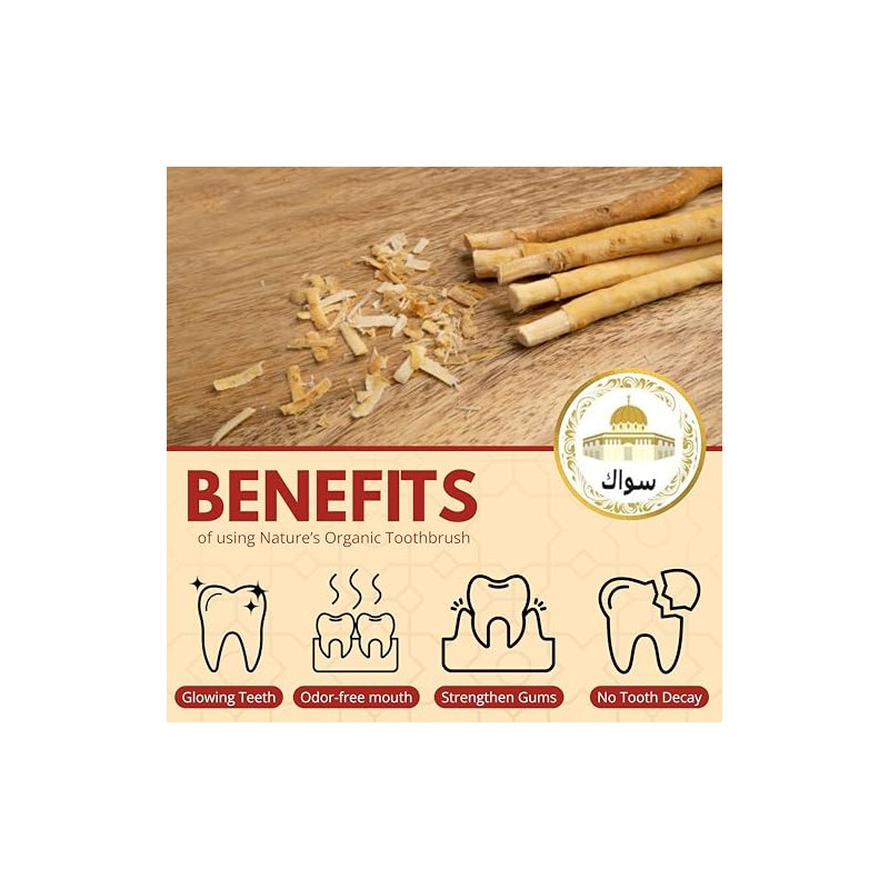 SEWAK Higiene Oral Oral Cepillo de dientes Natural 10 Unidades
