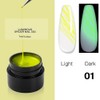 Professional Luminous Nail Art UV Gel Nail Polish Soak Off