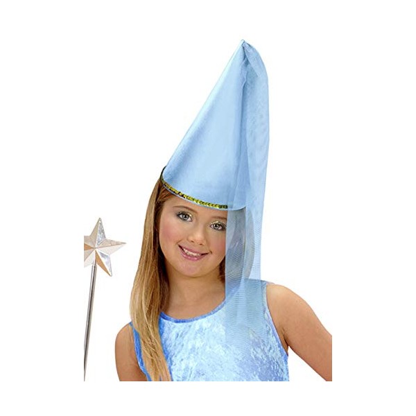 Struts Childrens Blue Fairy Tale Princess Cone Hat with Veil