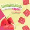 Wiley Wallaby Mini Licorice Bites 0.5 Ounce Classic Gourmet Soft
