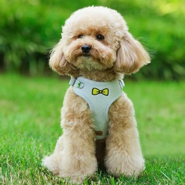 No Pull Dog Harness with Leash Pet Soft Vest Harness and Leash Set Dog Cat No Choke Escape Proof Harness Reflective Step in Harness for Small Medium Dogs Cats (Large, Baby Blue)