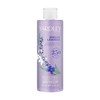 Yardley Buy Yardley English Lavender Body Wash 250ml Online