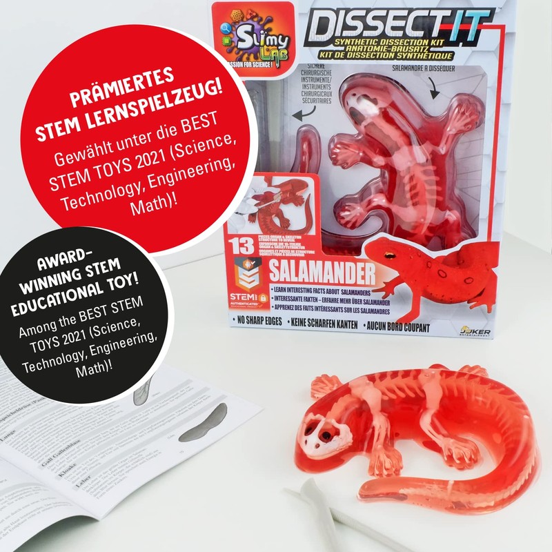 Slimy Original Lab Dissect-IT Salamander - Experiment & Research Dissecting