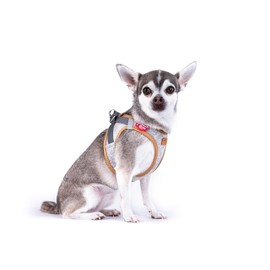 Alpine Curli Clasp Vest Harness, Light Grey, XS