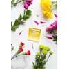 Miracle Tree - 3 Count of Organic Moringa Superfood Tea,