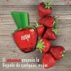 Jafra Zoogar Fresa + Sweet Fantasy Pastelito + Envio Gratis