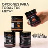 Reishi Suplemento en polvo de extracto de hongo - (100g)