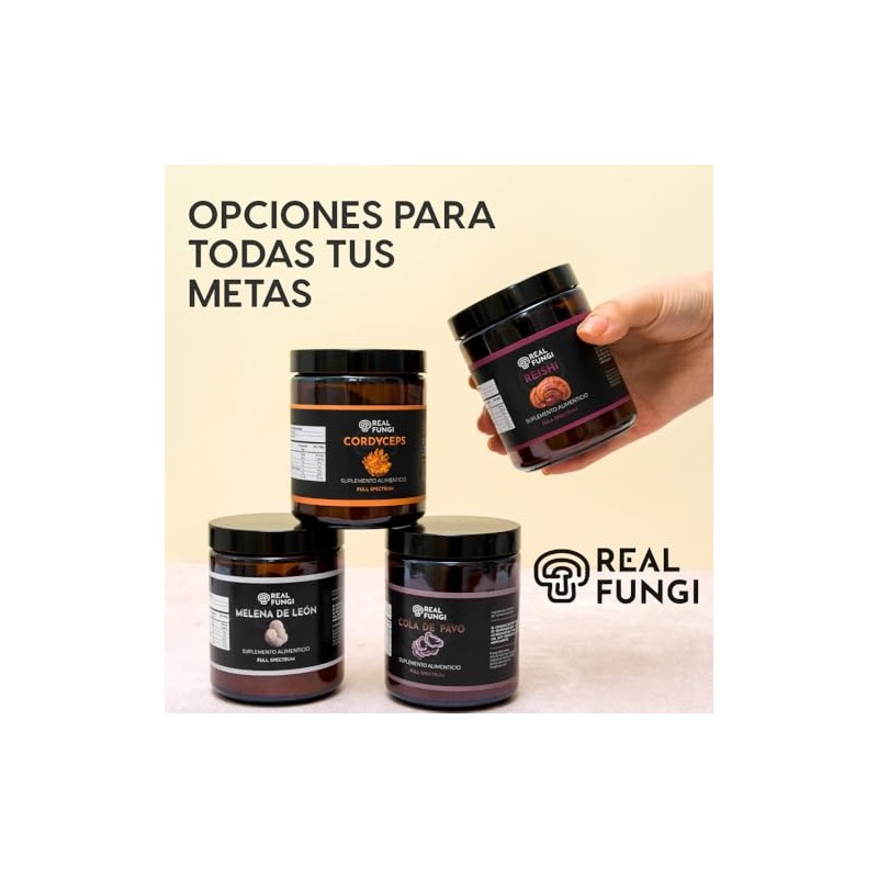 Reishi Suplemento en polvo de extracto de hongo - (100g)