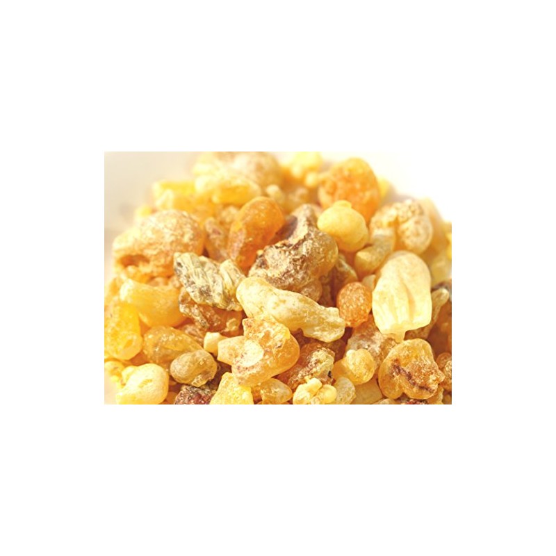 Rose De Marrakesh neroriba-mu G