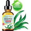 Botanical Beauty EUCALYPTUS ESSENTIAL OIL 100% PURE Natural Undiluted THERAPEUTIC