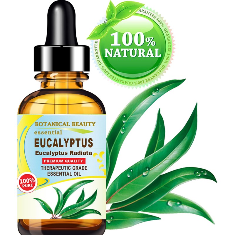 Botanical Beauty EUCALYPTUS ESSENTIAL OIL 100% PURE Natural Undiluted THERAPEUTIC