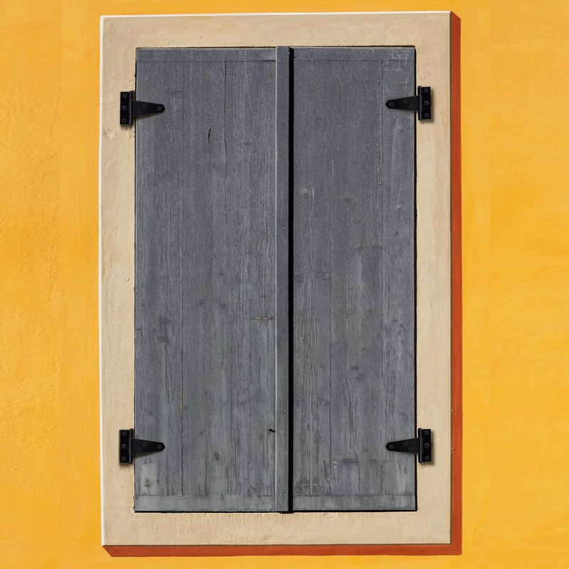 HINZIC 10Pcs 2 Inch Black T-Strap Shed Hinge, Barn Door