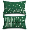AnyDesign St. Patrick's Day Rectangle Pillow Covers Green Shamrock Lucky