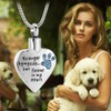 QGJNSGC Pet Cremation Jewellery Stainess Steel Heart Urn Necklace for