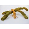 Leopard Gecko Tank Accessories, Adjustable Climbing Toys Supplies, Terrarium Habitat