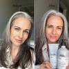 LOréal Professionnel Silver Shampoo Neutralizador 500ml